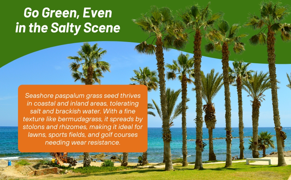 Coastal & Inland Seashore Paspalum Lawn Grass Seed