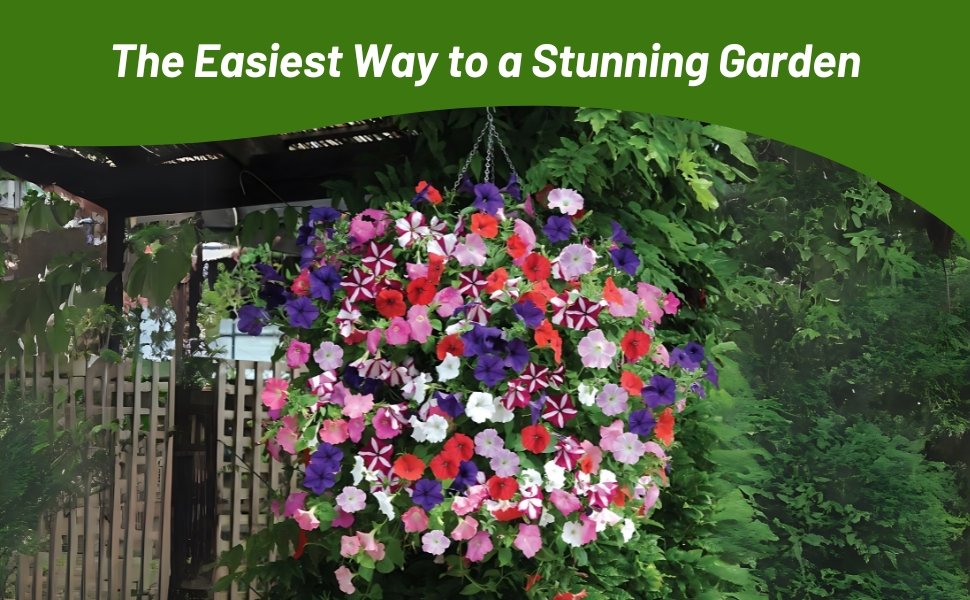 Easy Wave Petunia Hanging Basket In Garden