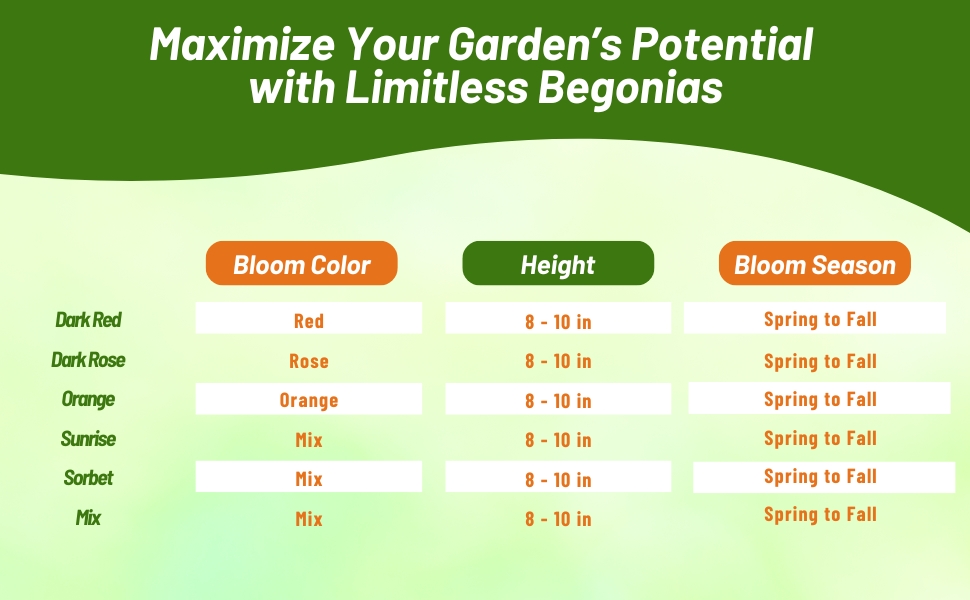 Chart of LImitles Begonia Plants Bloom Color, Height, and Season