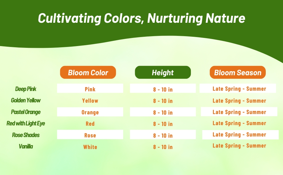 Bloom Color, Height, &amp; Bloom Season Chart For Gerbera Flowers
