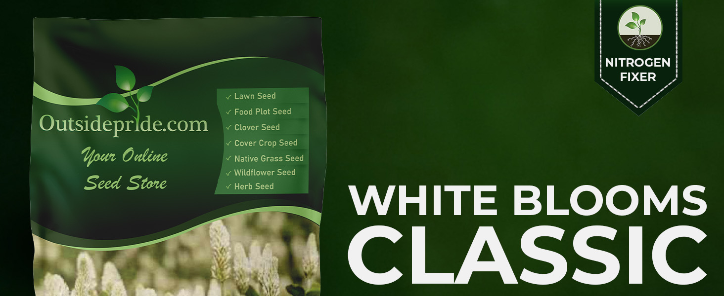 White Cloud Crimson Clover