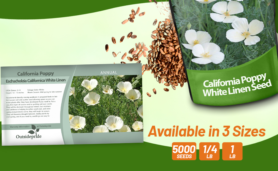 Eschscholzia Californica White Linen Poppies