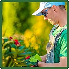 Low Maintenance Southwest Wildflower Seed Mixture