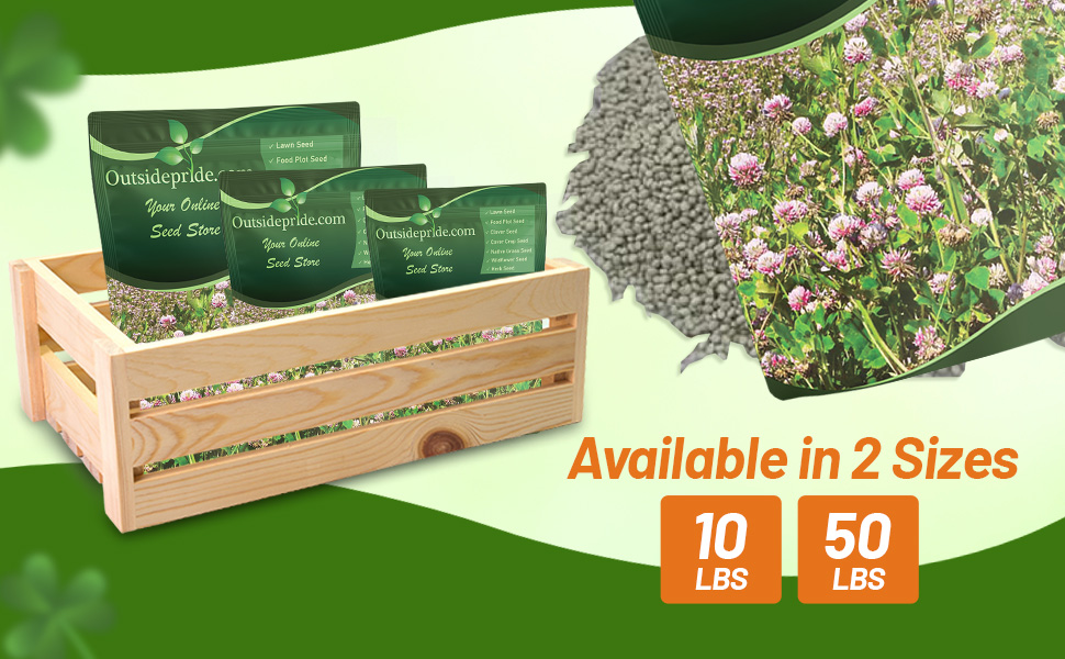 Bulk Alsike Clover Seeds For Planting