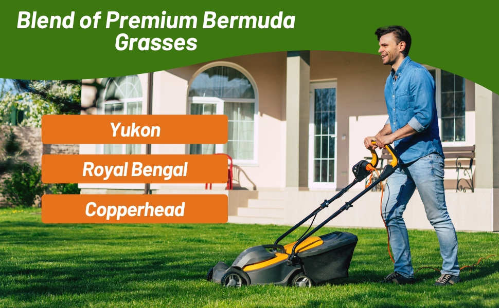 Royal TXD Bermuda Grass Seed Blend