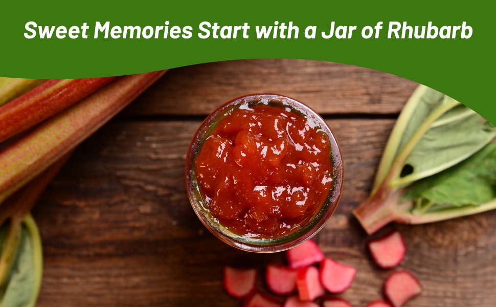Jelly Made From Rhubarb Plants