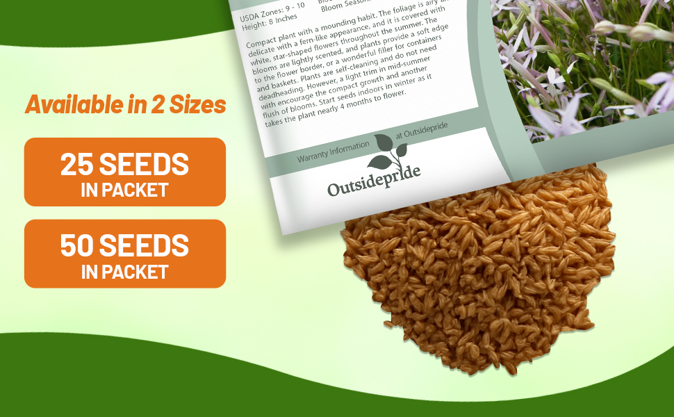 Laurentia Seed Packet For Sale