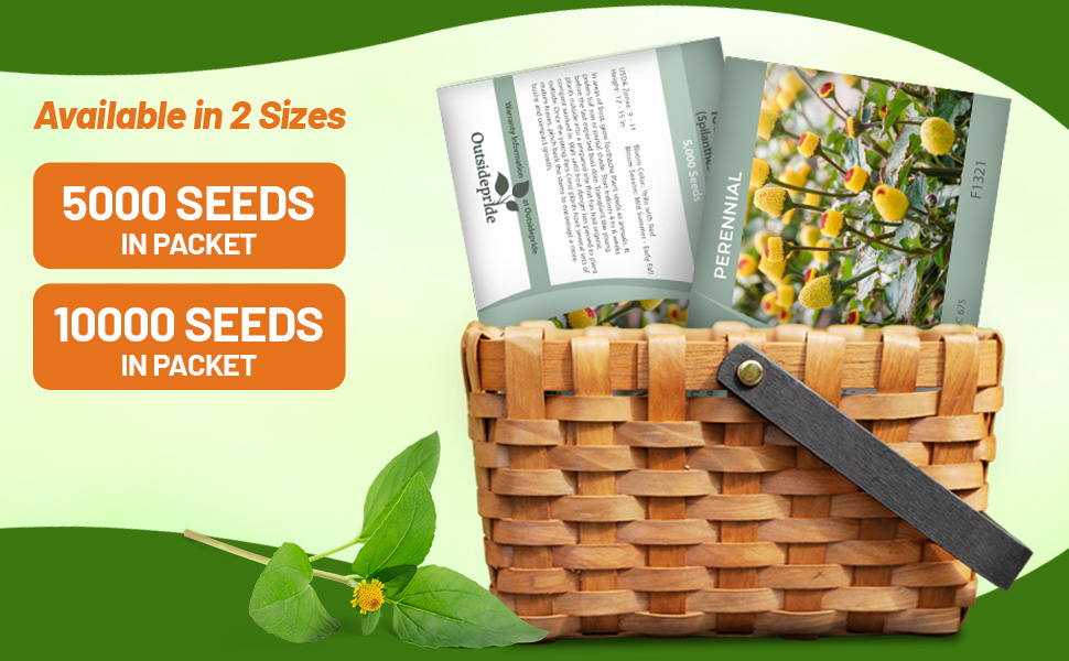 Toothache Plant Medicinal Herb Seed Packets Planting