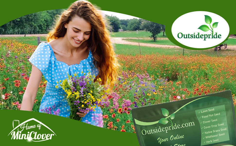 Southeast Wildflower Seed Mixture Flower Field