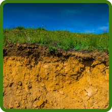 Gardenway Soil Erosion Control & Imrovement