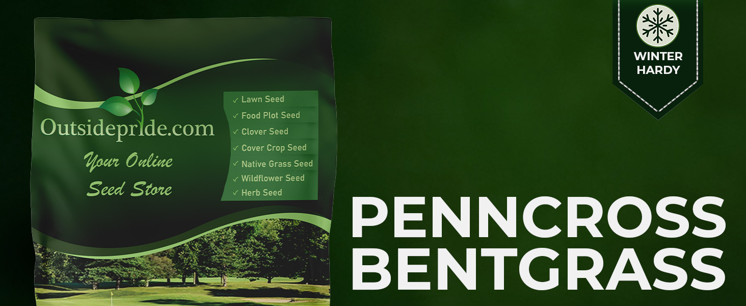 Penncross