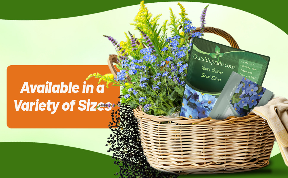 Blue Myosotis sylvatica Forget-me-not Seed Bag For Planting