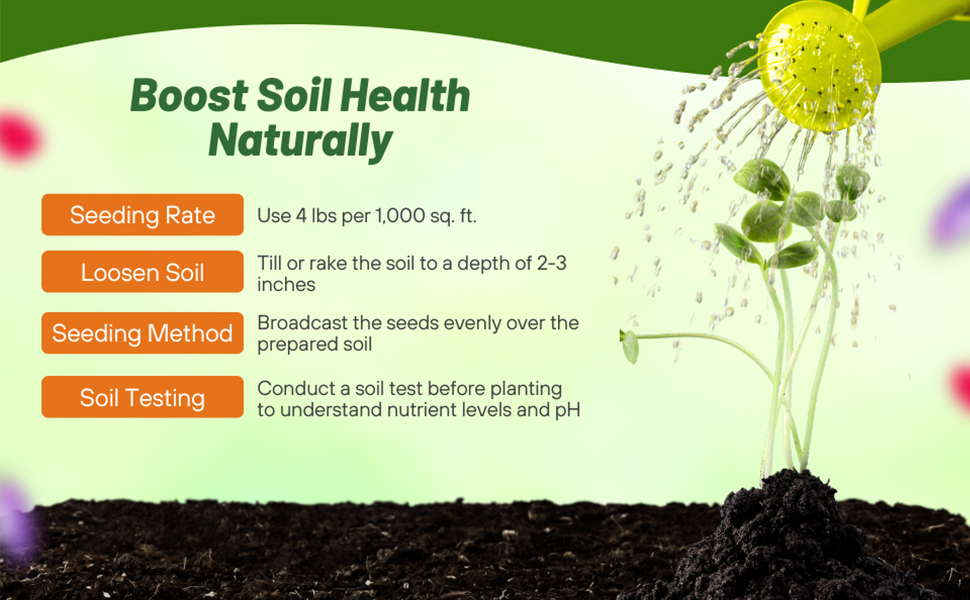Seeding Rate & Planting Time For Gardenway Garden Cover Crop Seeds