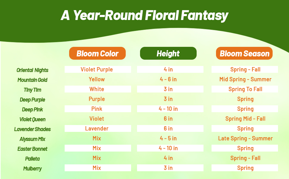 Chart of Alyssum Flower Seeds Bloom Color, Height, and Season