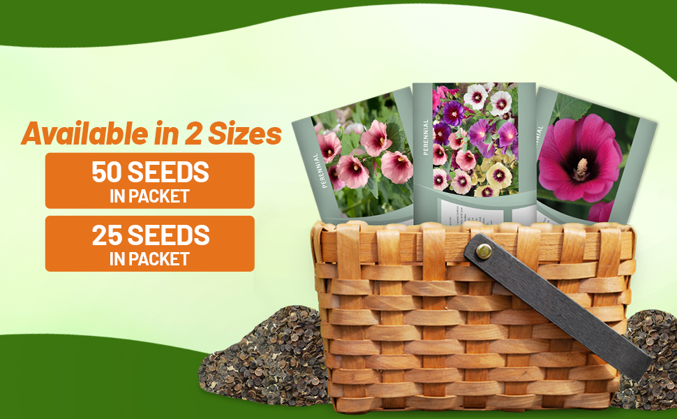 Halo Hollyhock Flower Seed Packets For Sale