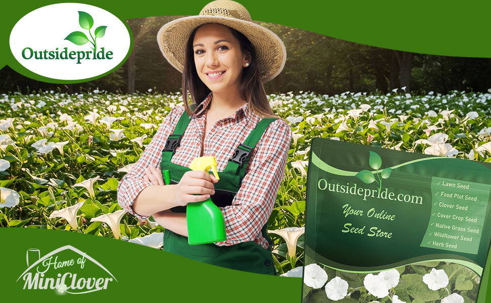 Moonflower Flower Garden Planted From Seeds