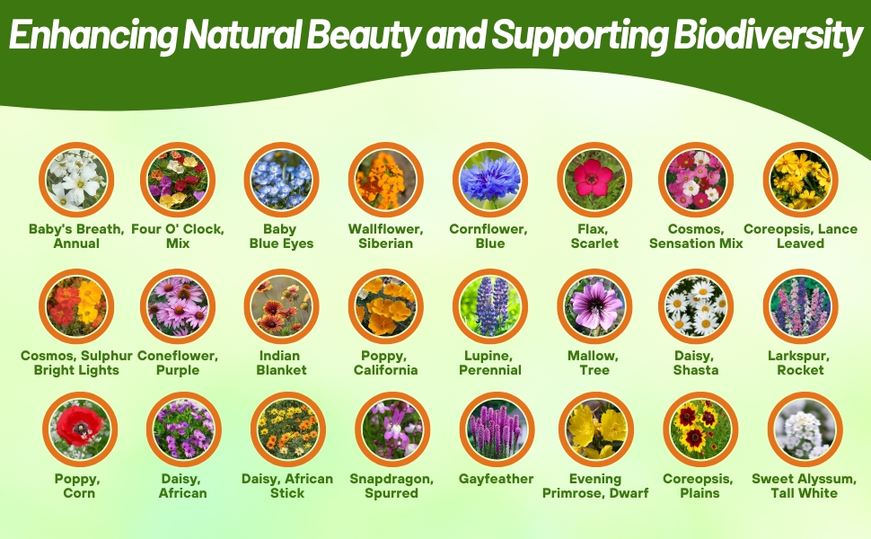 Many Varieties of Flowers in Gulf Coast Wildflower Seed Mixture