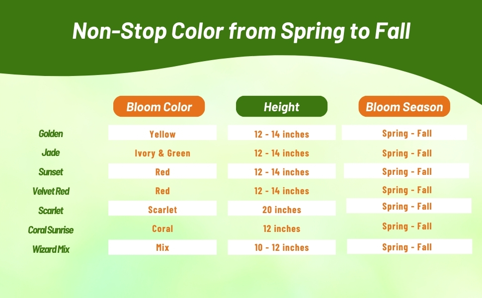 Coleus Wizard Chart of Blooom Season, Color, & Height