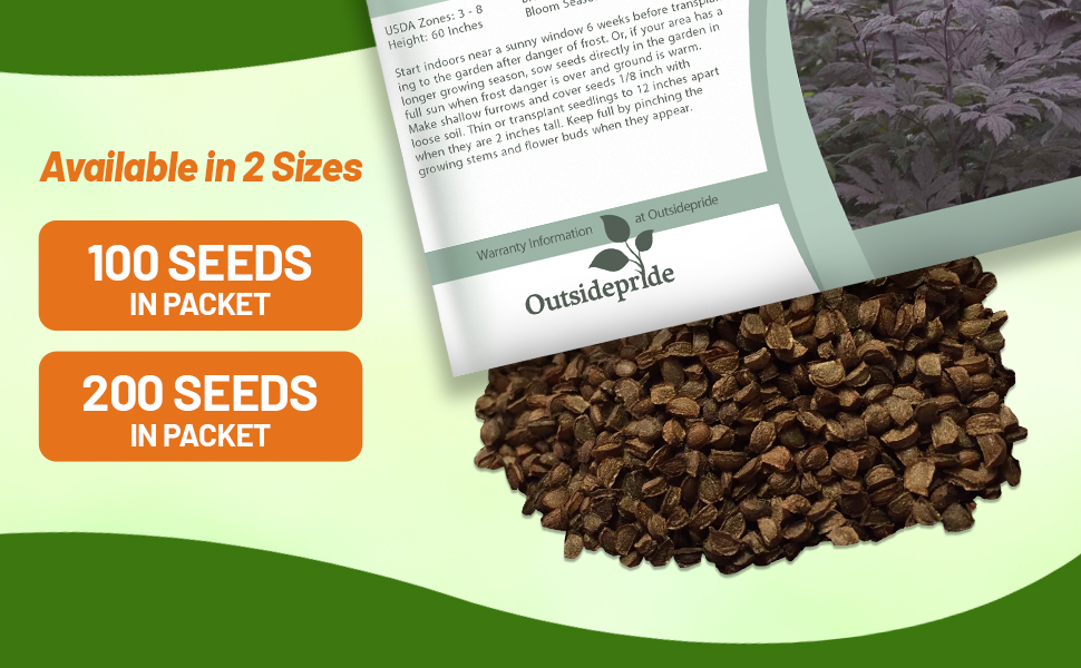 Cimicifuga Seed Packet For Sale