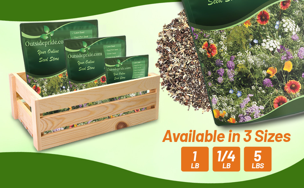 Beneficial Insectary Wildflower Mix Seed Bag For Planting