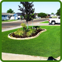 Early Spring Green-up Monaco Bermuda Seed