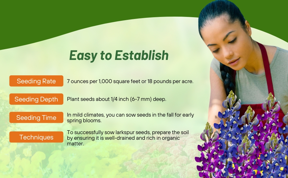 Planting Directions for Rocket Larkspur Flower Seeds