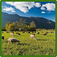 Improved Forage For Wildlife & LIvestock