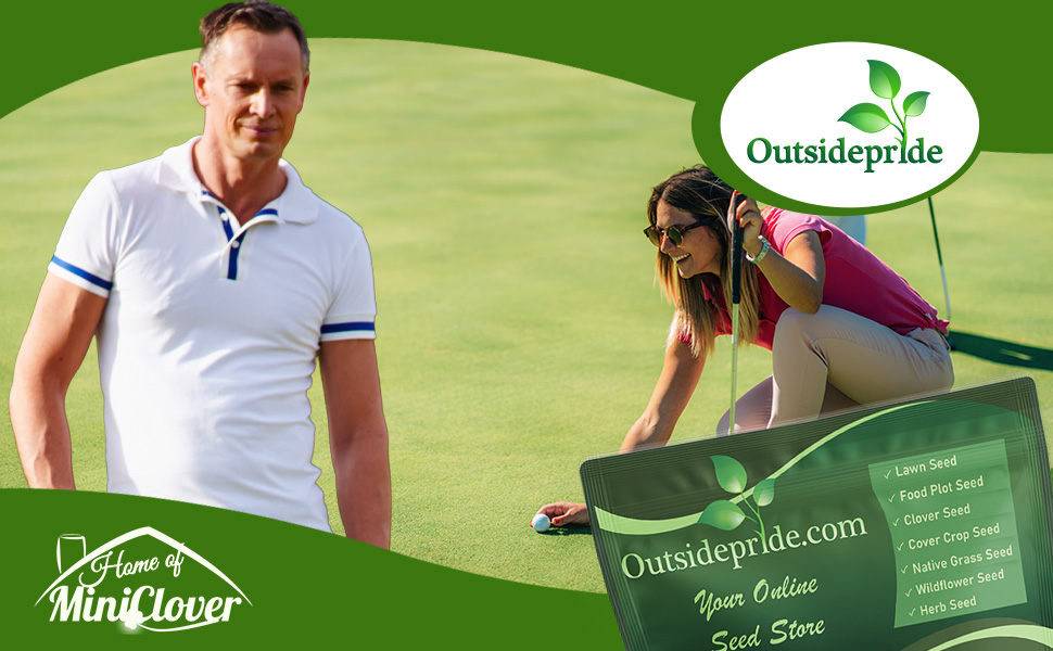 True Putt Creeping Bluegrass Seeds For Putting Greens