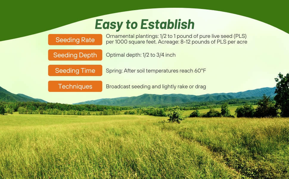 Seeding Rate & Planting Time For Native Switchgrass Seeds