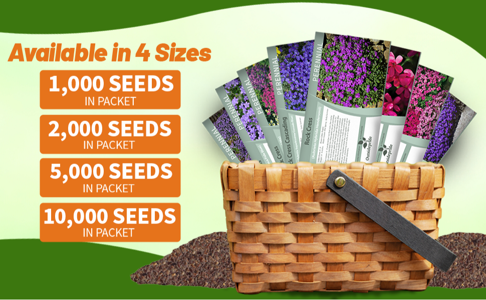 Aubrieta Rock Cress Ground Cover Plant Seed Packets For Planting