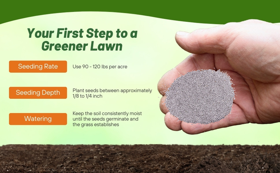 Yukon Bermuda Seed Rate &amp; Planting Time