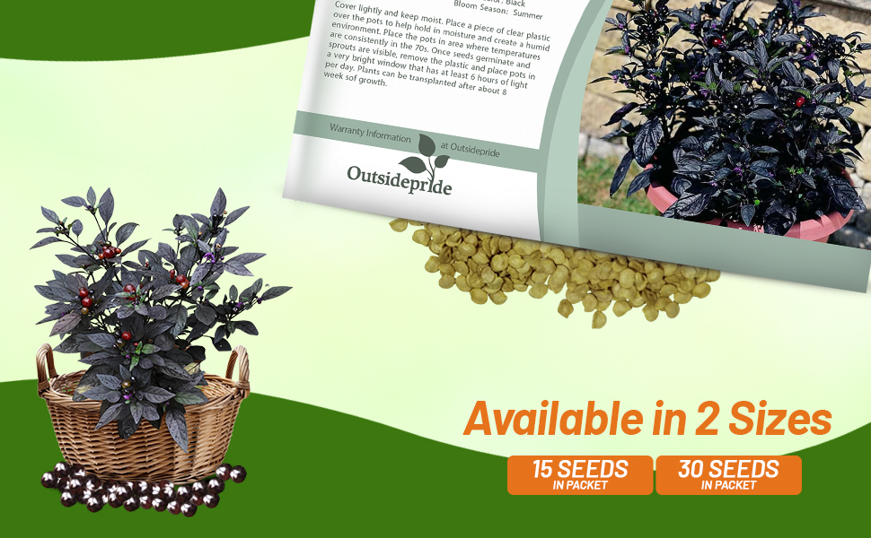 Black Pearl Heat Tolerant Ornalental Pepper Seed Packet
