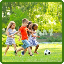 Wear Tolerant Poa Supina Shade Grass Blend For Full Sun Or Dense Shade