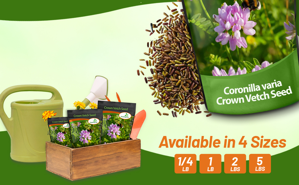 Bulk Crown Vetch Seed Bags For Planting