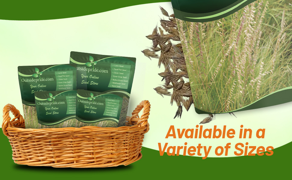 Sideoats Grama Native Grass Seed Bags For Planting