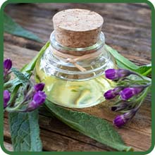 Comfrey Herb Seed Oil in Jar