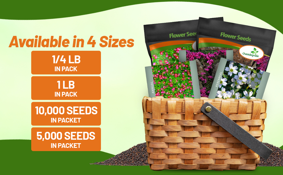 Gypsophila Seed Packets For Sale