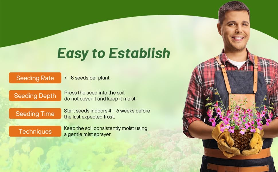 Planting Directions For Chinese Foxglove Flowers