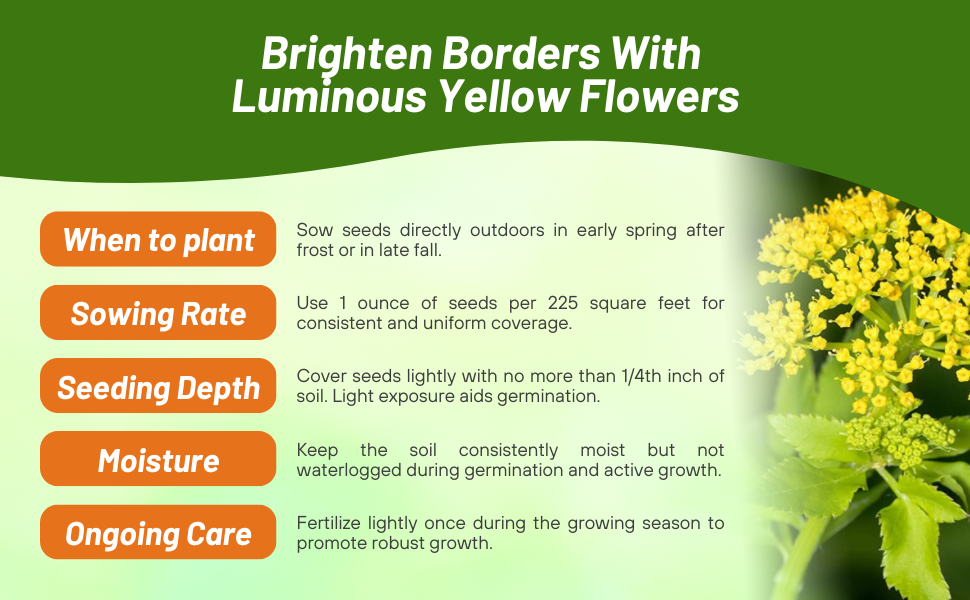Seeding Rate & Planting Time For Golden Alexander