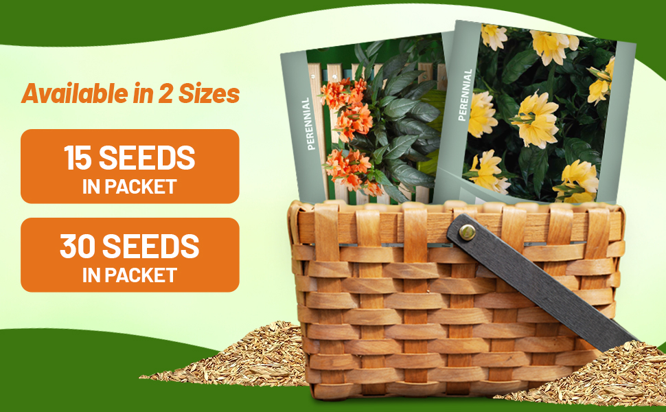 Crossandra Seed Packets For Planting