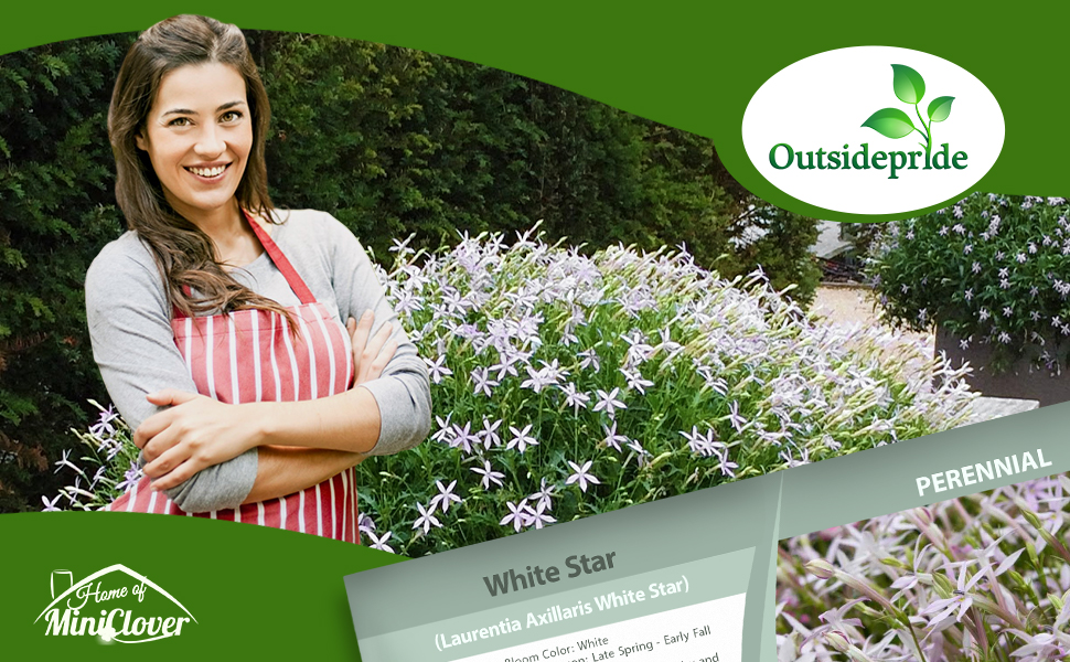 Laurentia Flower Garden