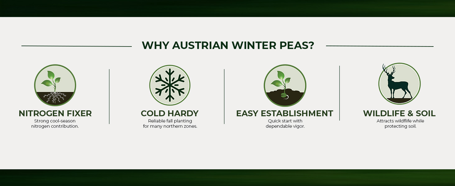 Why Plant Austrian Winter Peas
