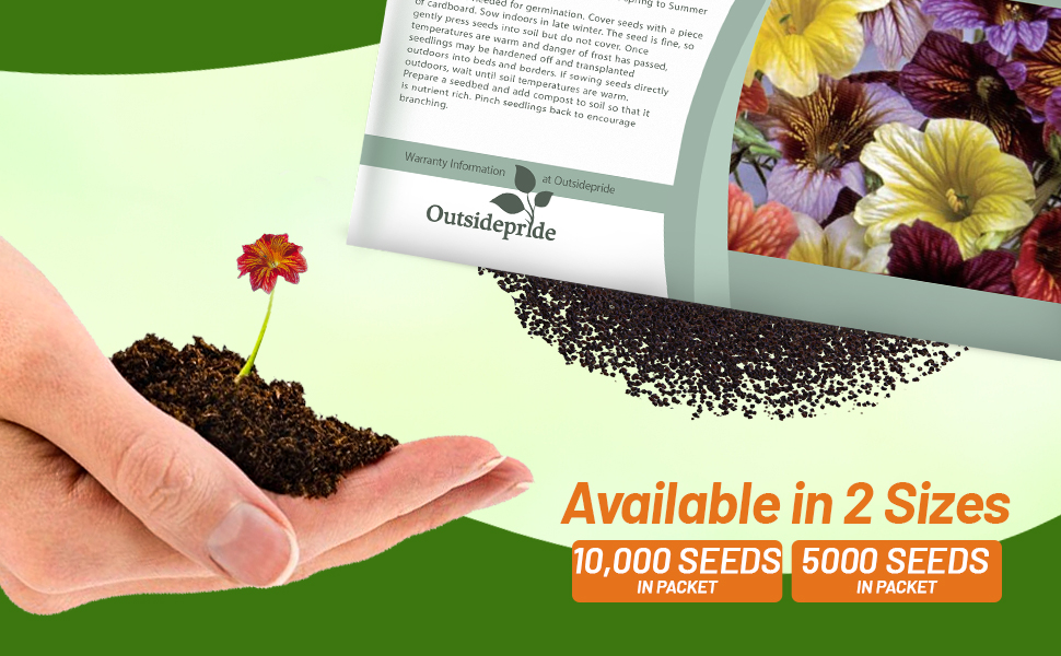 Salpiglossis Painted Tongue Seed Packets For Sale