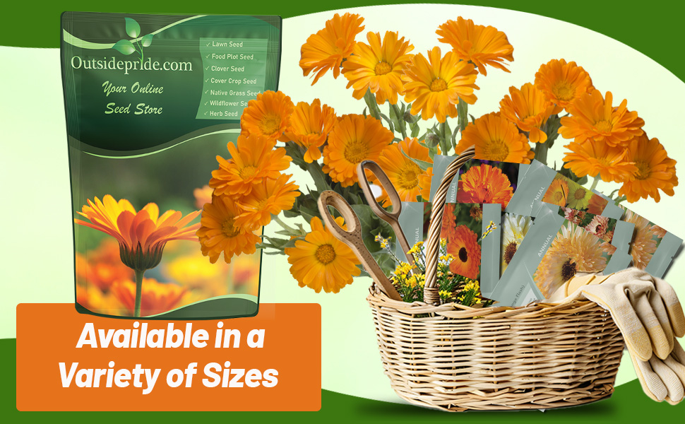 Calendula Seed Packets For Sale From Outsidepride