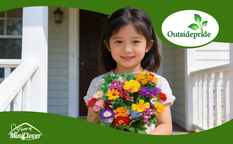 Flower Seeds For Apartment Balconies