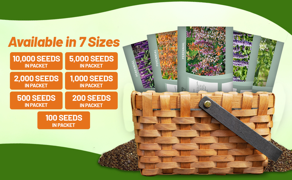 Agastache Seed Packets For Sale