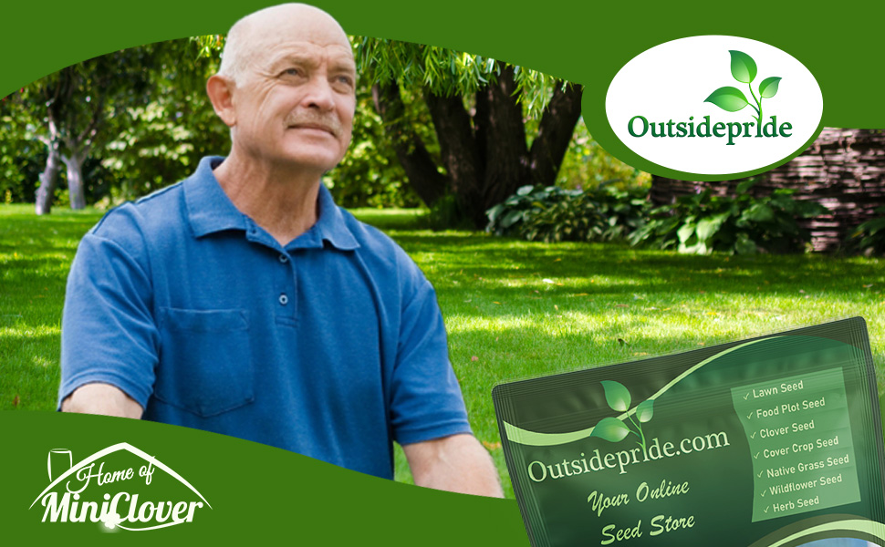 Seashore Paspalum Lawn Grass Seed For Salt Tolerance