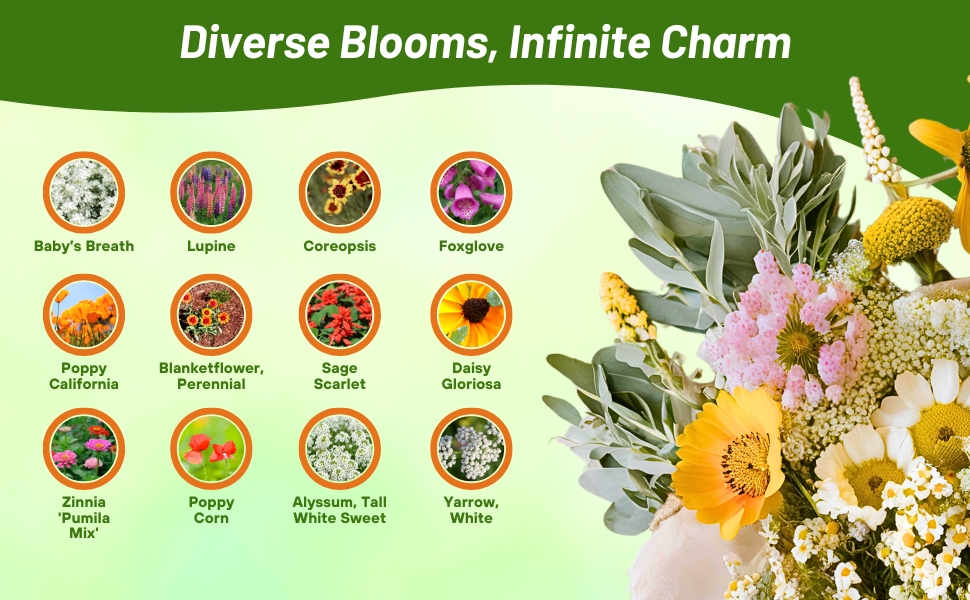 Flower Varieties in Deer Proof Wildflower Seed Mixture