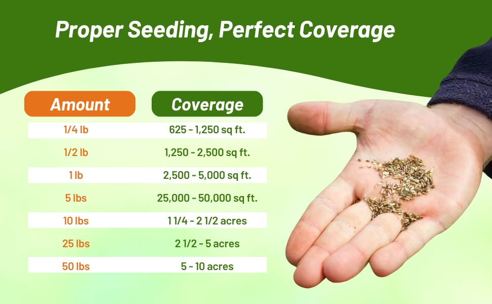 Annual Sun Wildflower Seed Mixture Seed Coverage
