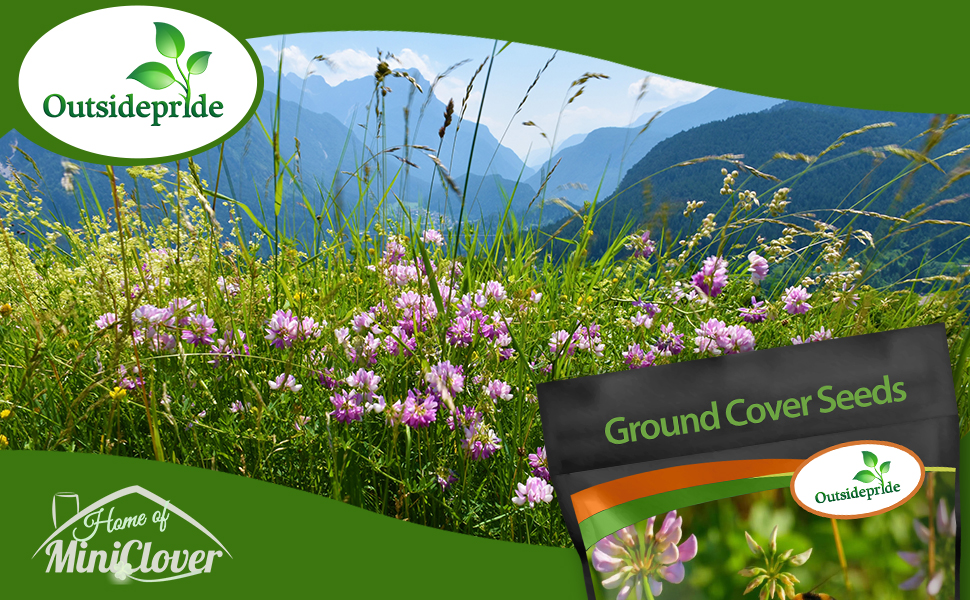  Crown Vetch Erosion Control Seeds